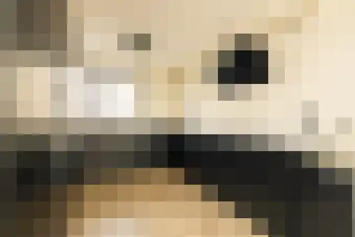 Mosveen 8 Wateringen thumbnail 12
