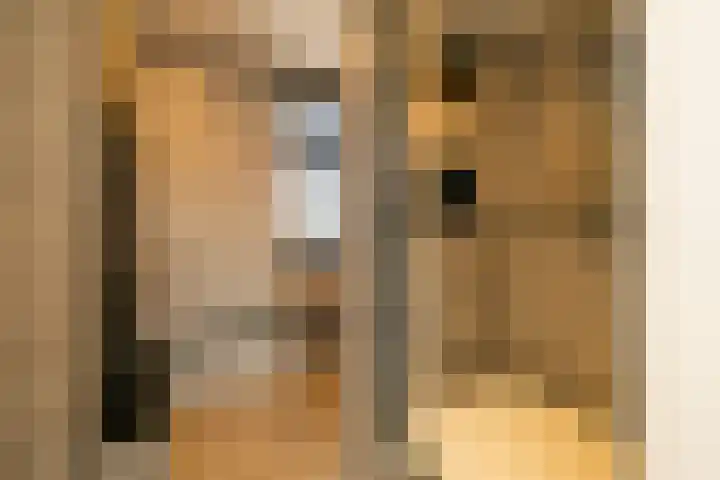 Mosveen 8 Wateringen thumbnail 22