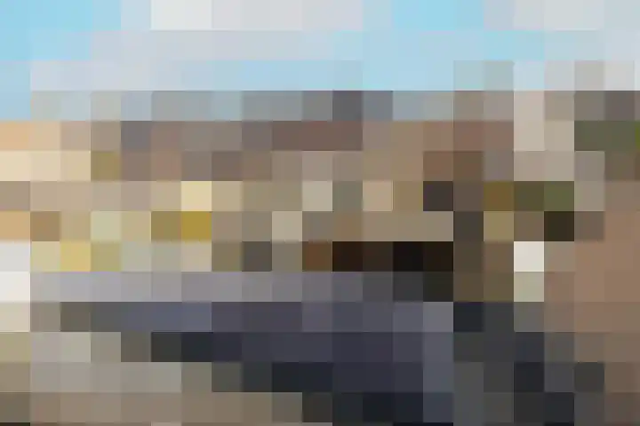 Mosveen 8 Wateringen thumbnail 32