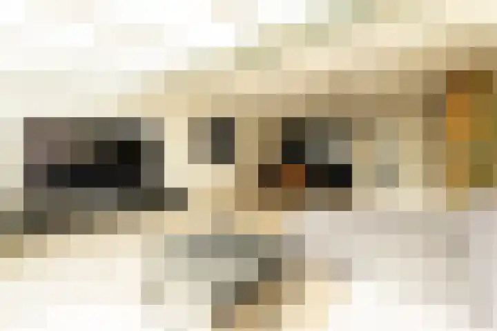 Mosveen 8 Wateringen thumbnail 9