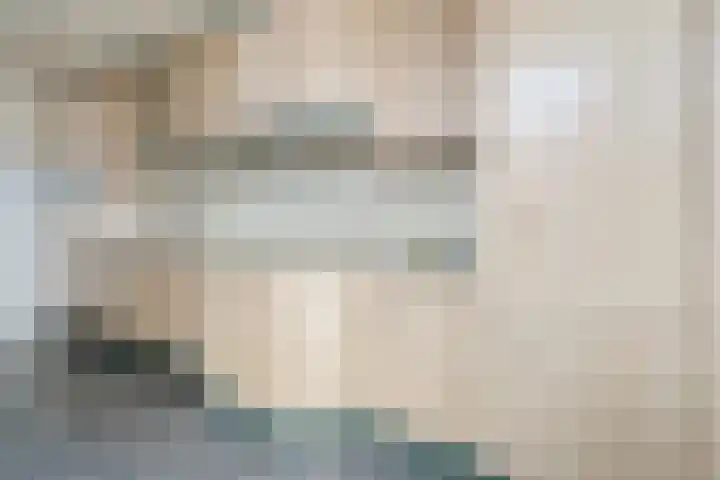 Mosveen 8 Zwartemeer thumbnail 12
