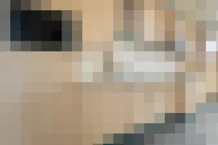 Mosveen 8 Zwartemeer thumbnail 13