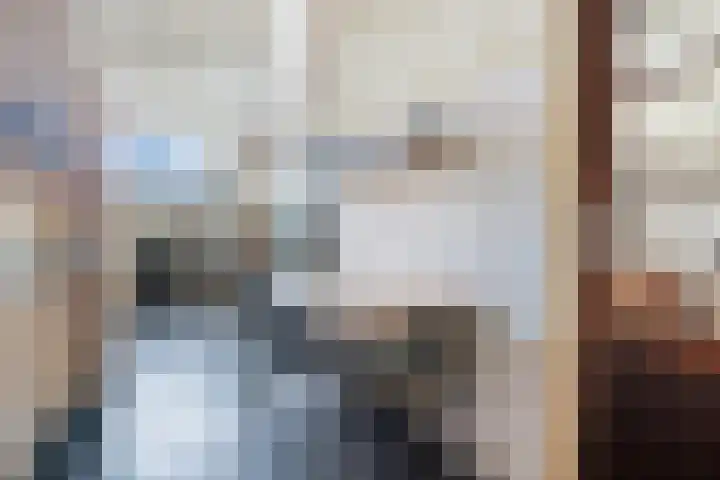 Mosveen 8 Zwartemeer thumbnail 14