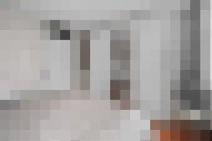 Mosveen 8 Zwartemeer thumbnail 19