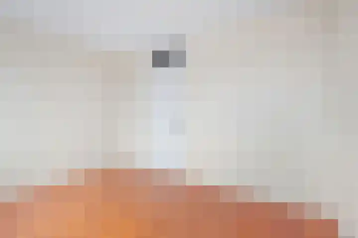 Mosveen 8 Zwartemeer thumbnail 21