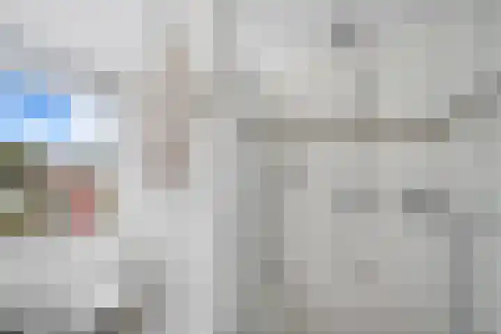 Mosveen 8 Zwartemeer thumbnail 25