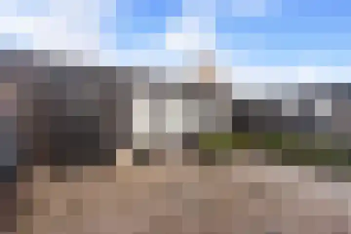 Mosveen 8 Zwartemeer thumbnail 32