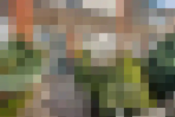 Mosveen 8 Zwartemeer thumbnail 33