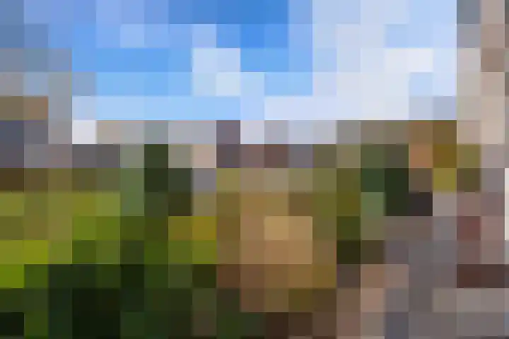 Mosveen 8 Zwartemeer thumbnail 34
