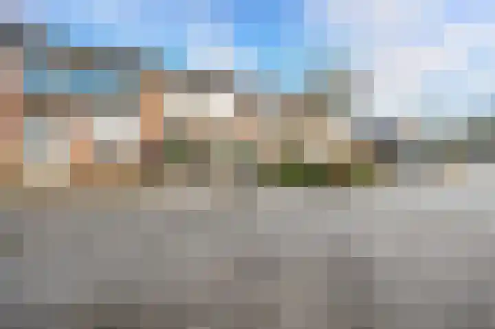Mosveen 8 Zwartemeer thumbnail 35