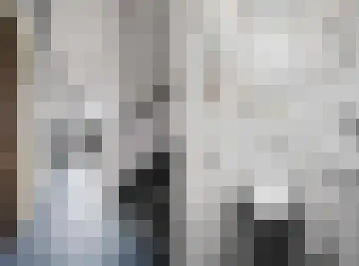 Mosveen 8 Zwartemeer thumbnail 4