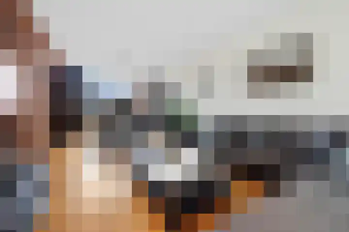 Mosveen 8 Zwartemeer thumbnail 7