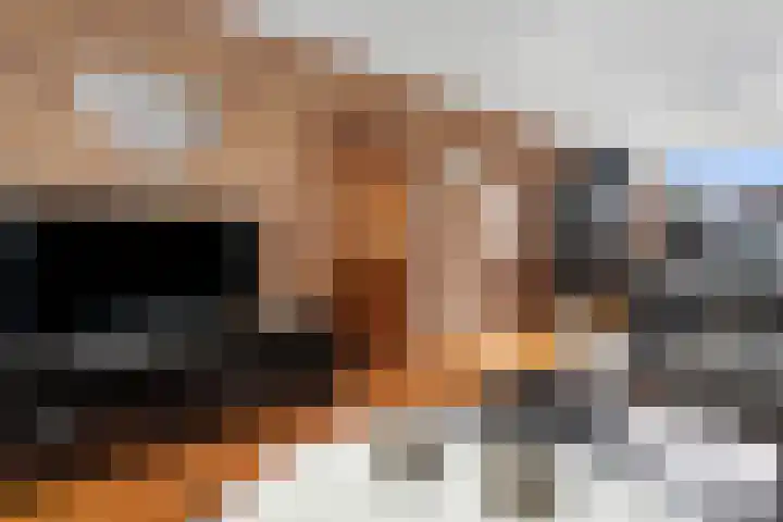 Mosveen 8 Zwartemeer thumbnail 8