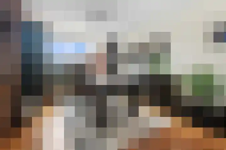 Mosveen 8 Zwartemeer thumbnail 9