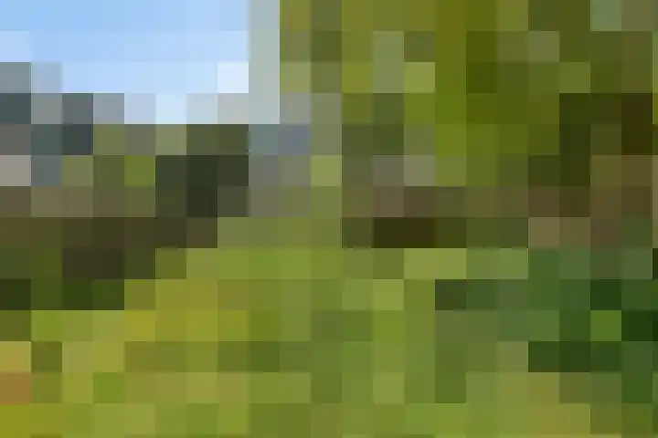 Mosveld 41 1 Amsterdam thumbnail 12