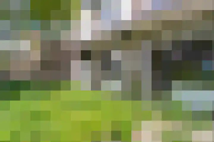 Mosveld 41 1 Amsterdam thumbnail 13