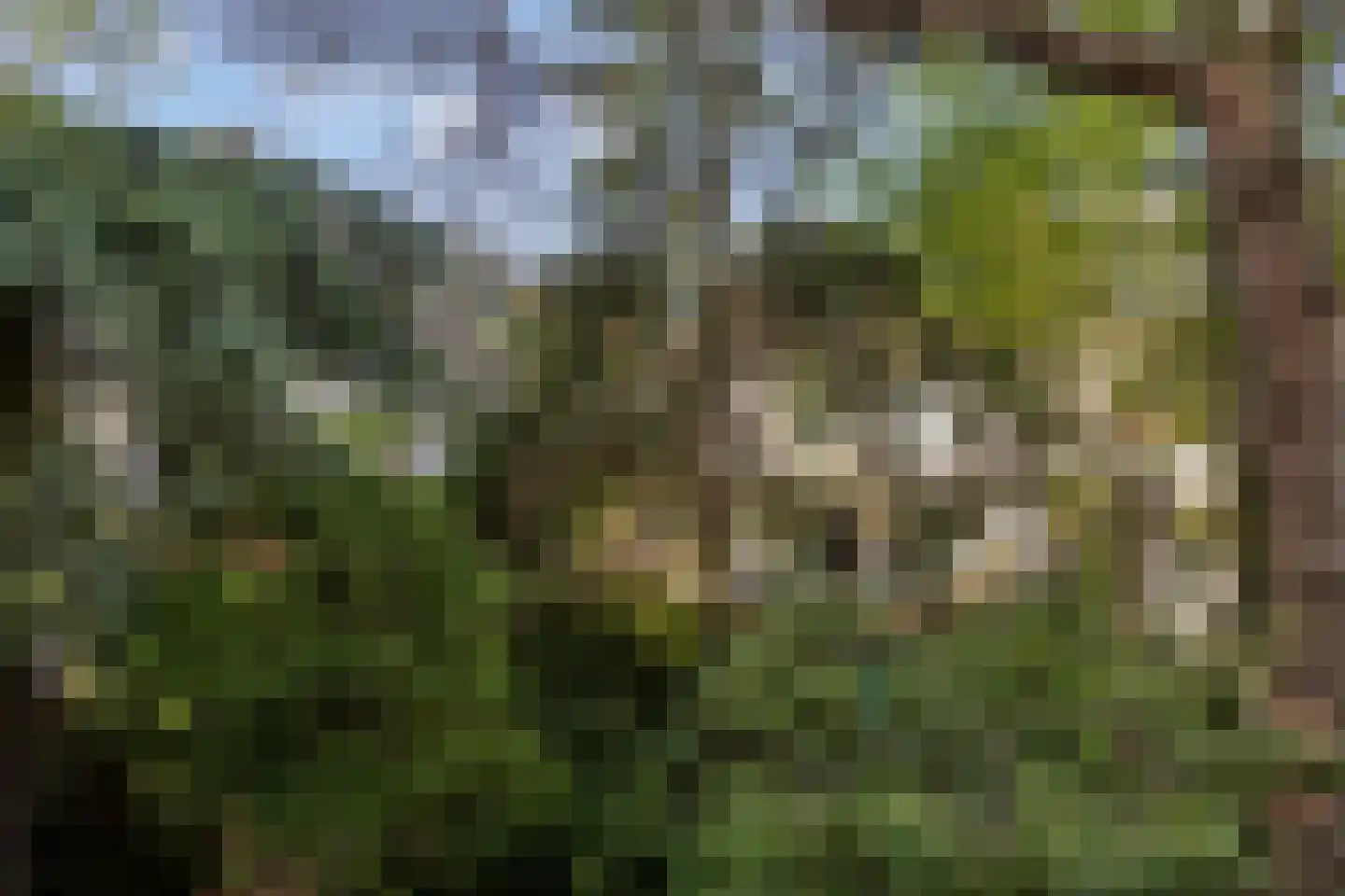 Mosveld 57 Amsterdam thumbnail 12