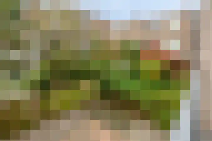 Mosveld 59 1 Amsterdam thumbnail 16