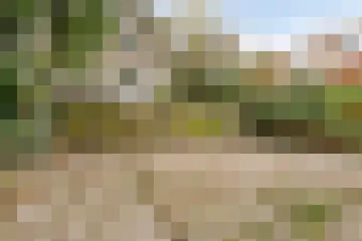 Mosveld 59 1 Amsterdam thumbnail 22