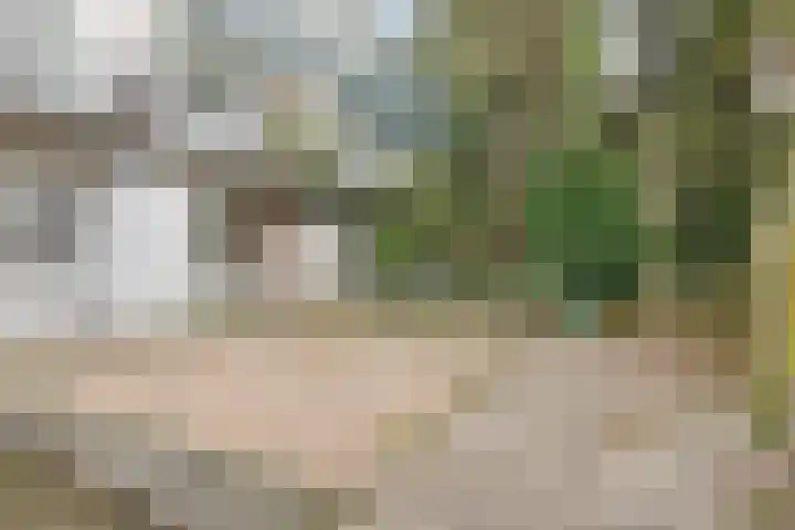 Mosveld 59 1 Amsterdam thumbnail 23