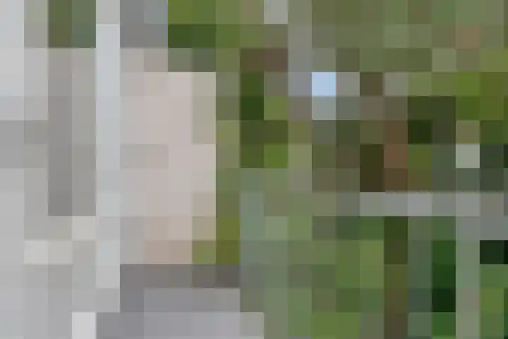 Mosveld 59 1 Amsterdam thumbnail 5