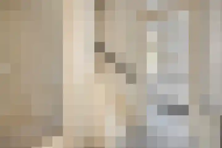 Mosveld 59 1 Amsterdam thumbnail 9