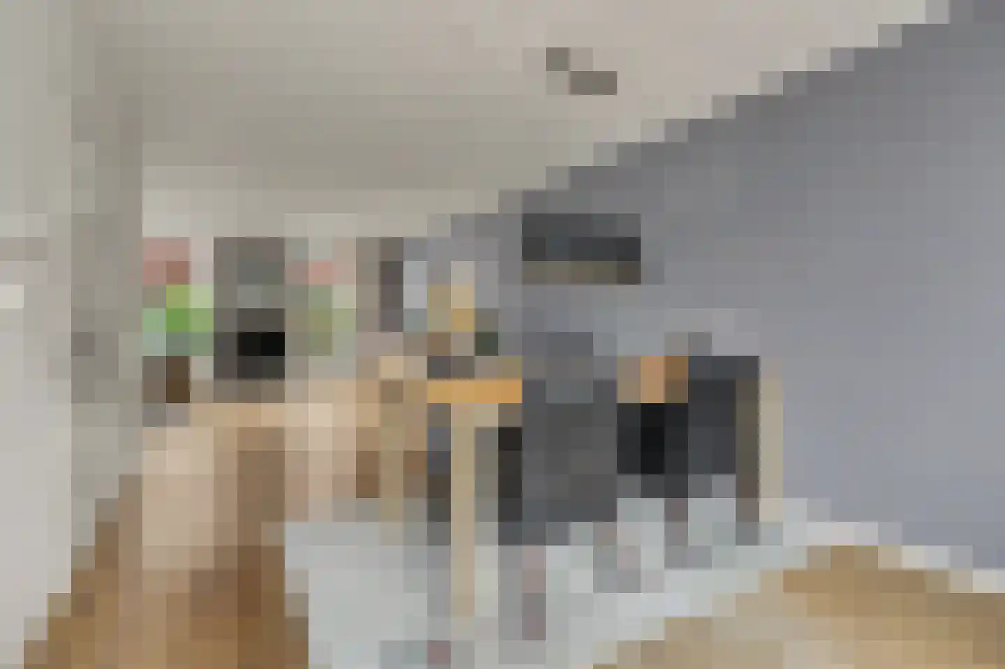 Mosveld 8 Hapert thumbnail 14