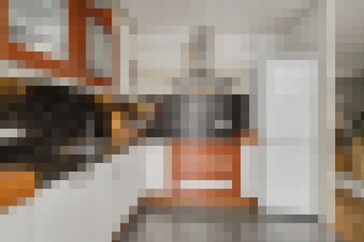 Mosveld 8 Hapert thumbnail 17