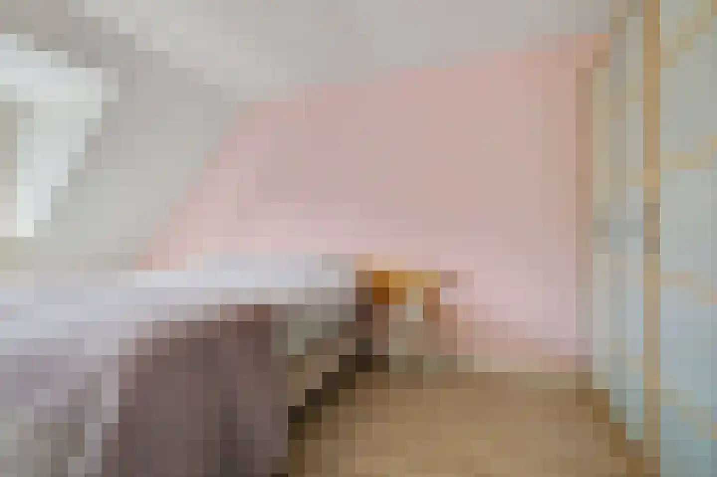 Mosveld 8 Hapert thumbnail 21