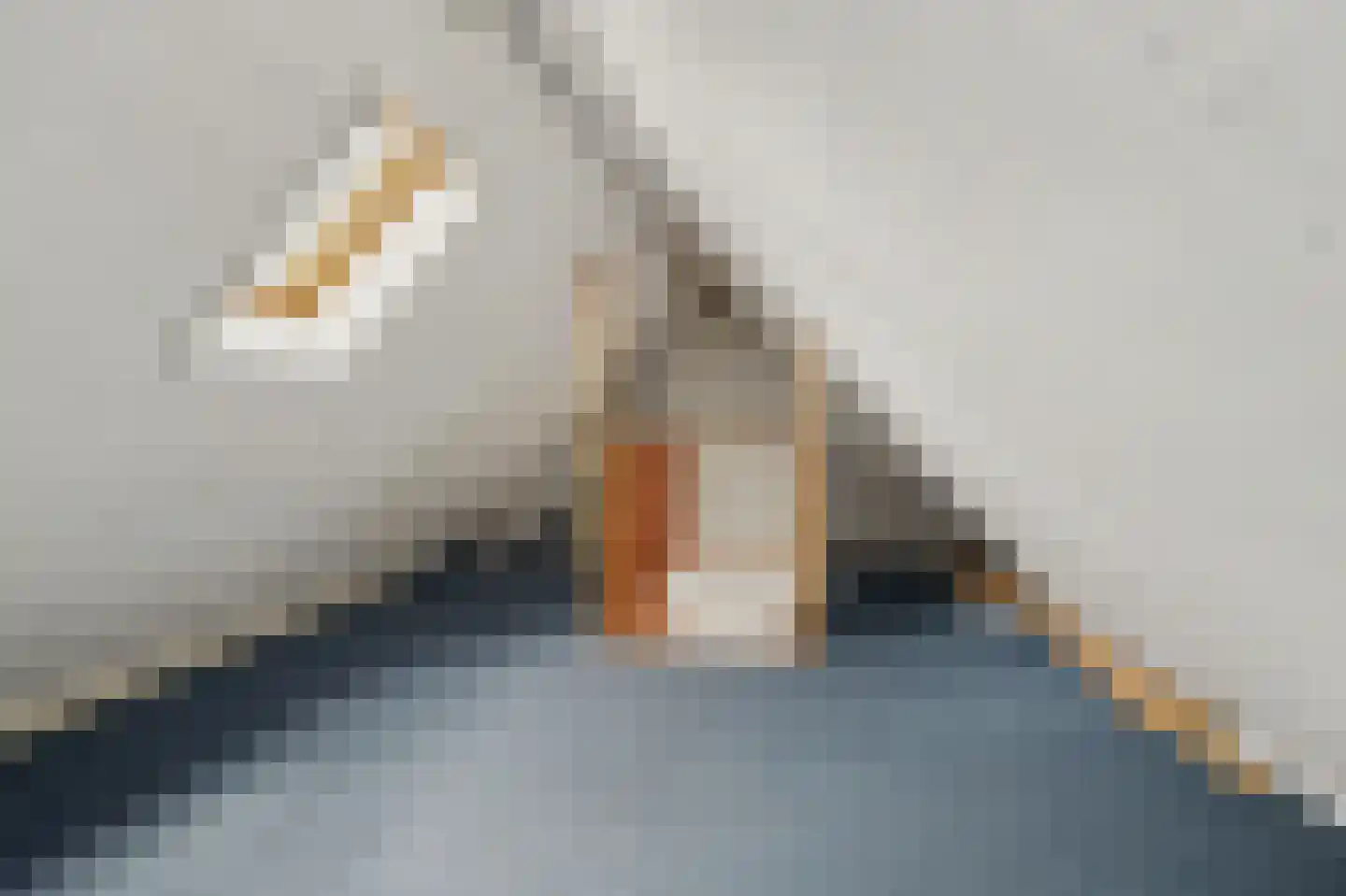 Mosveld 8 Hapert thumbnail 26