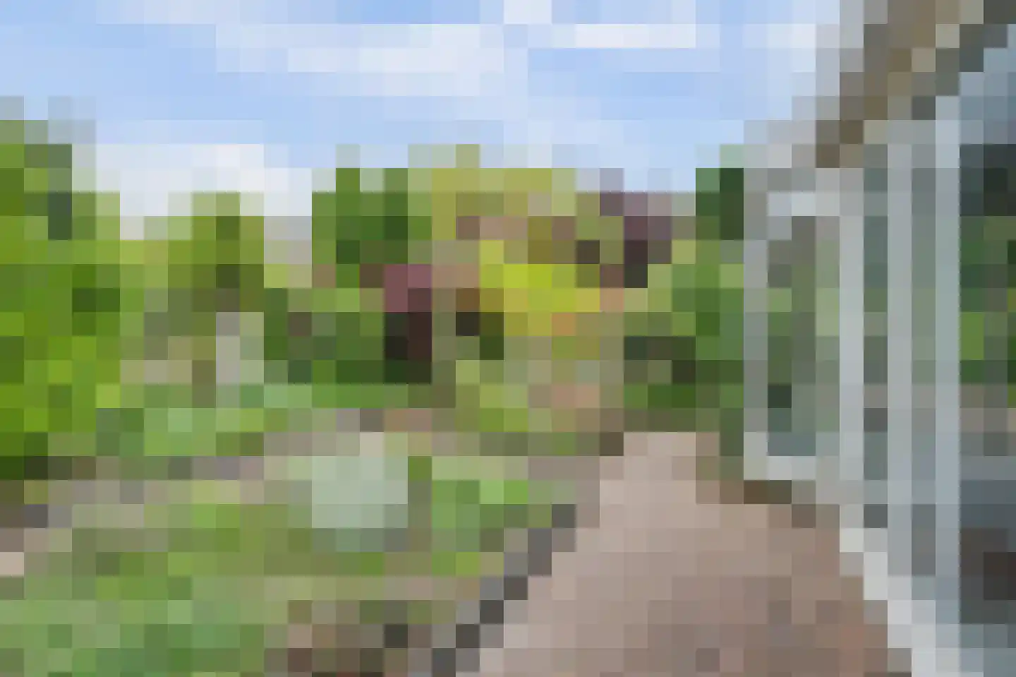 Mosveld 8 Hapert thumbnail 28