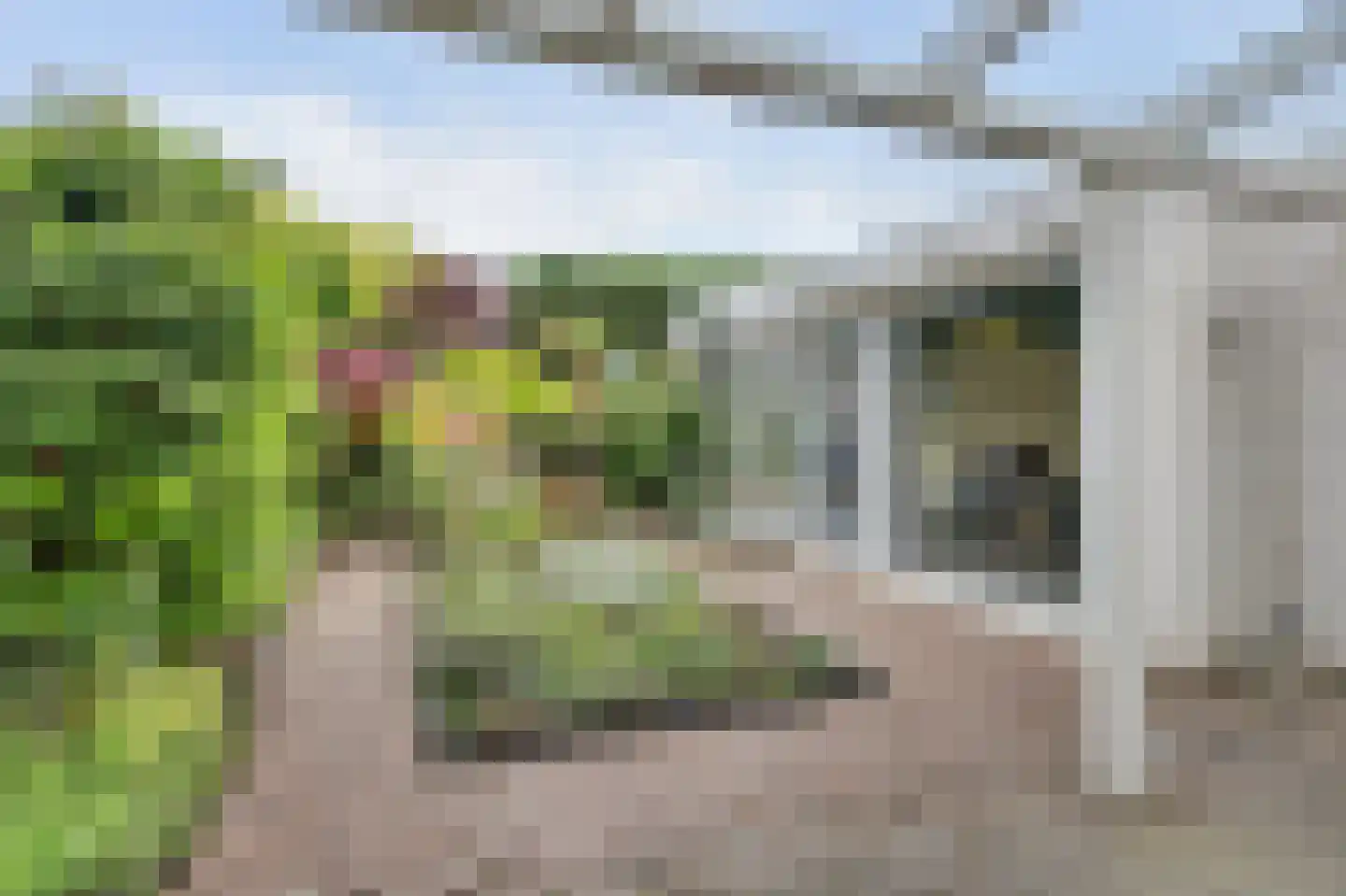 Mosveld 8 Hapert thumbnail 29