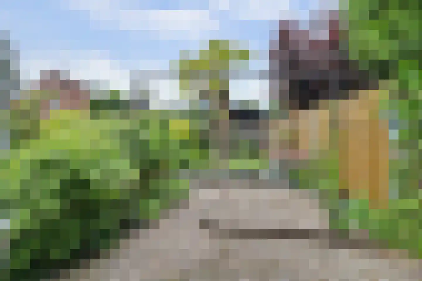 Mosveld 8 Hapert thumbnail 30