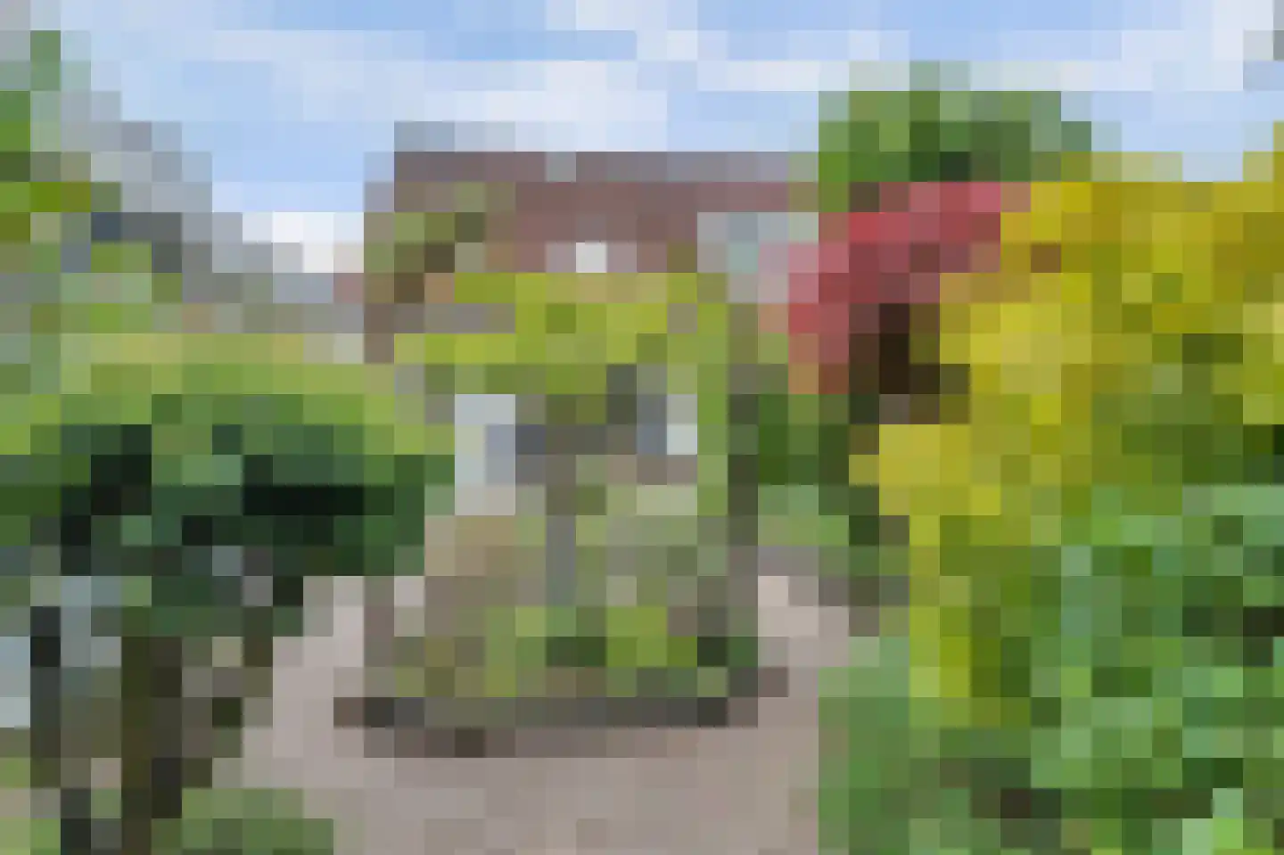Mosveld 8 Hapert thumbnail 31