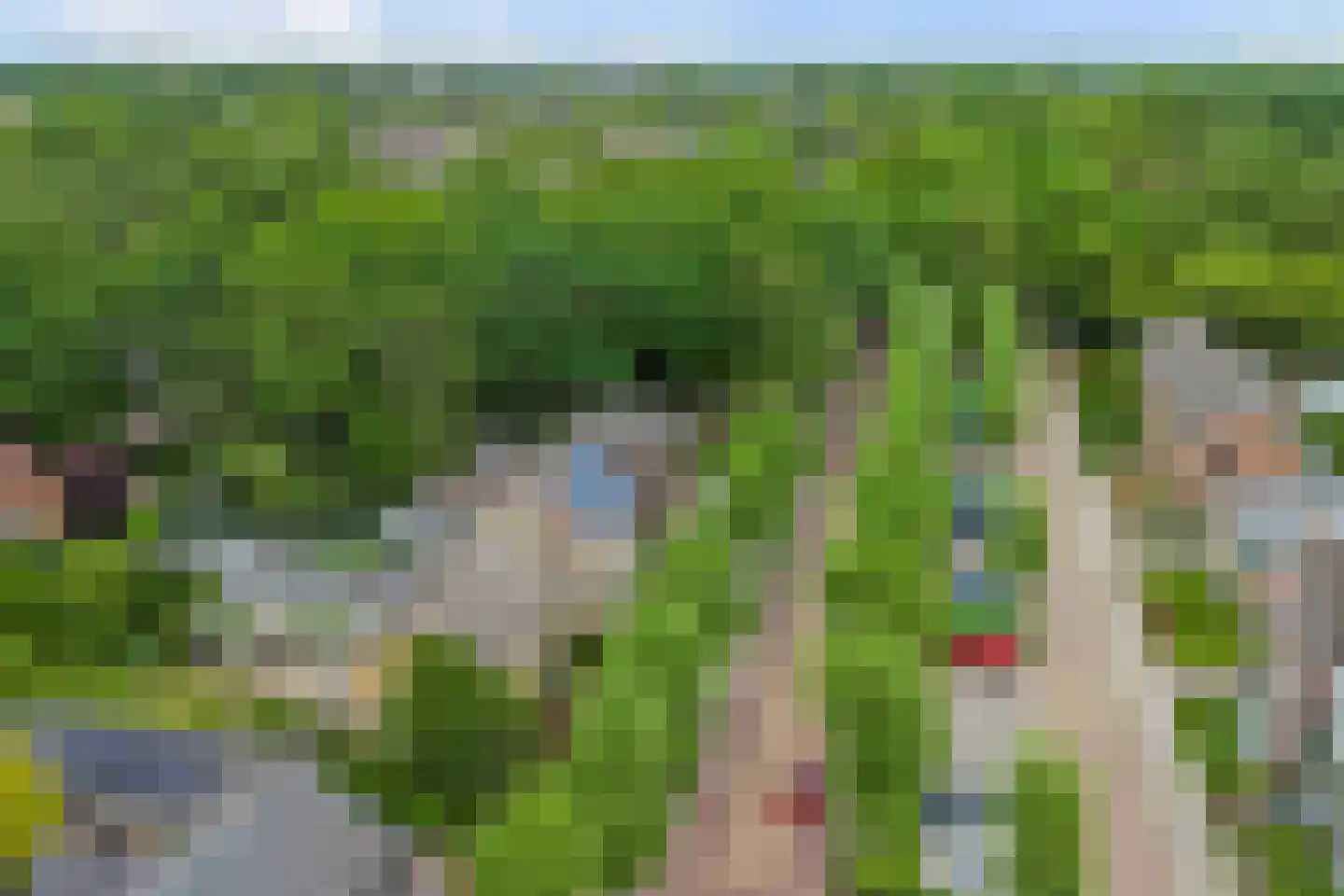 Mosveld 8 Hapert thumbnail 35