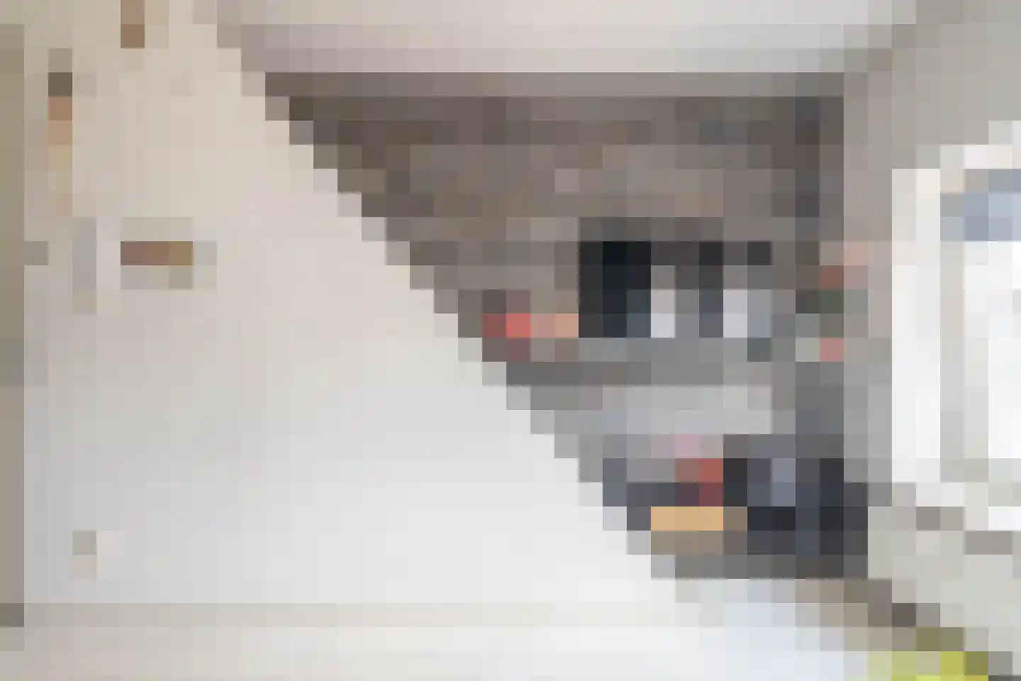 Mosveld 98 B Amsterdam thumbnail 7