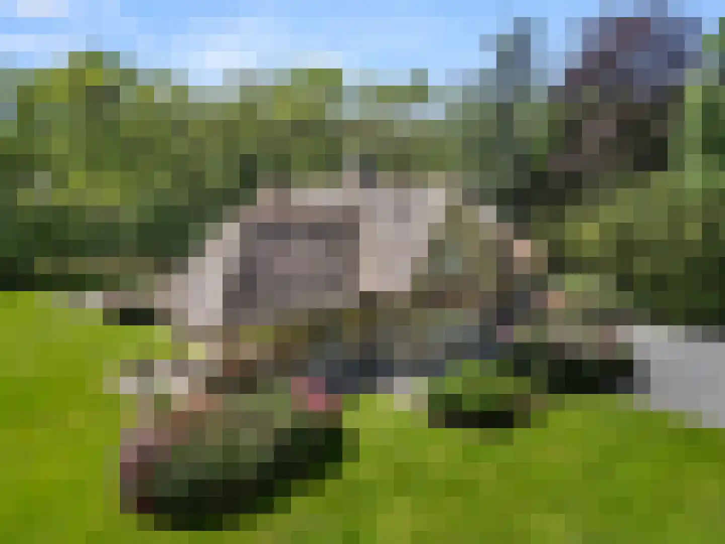 Mosweg 1 A Bennekom thumbnail 10