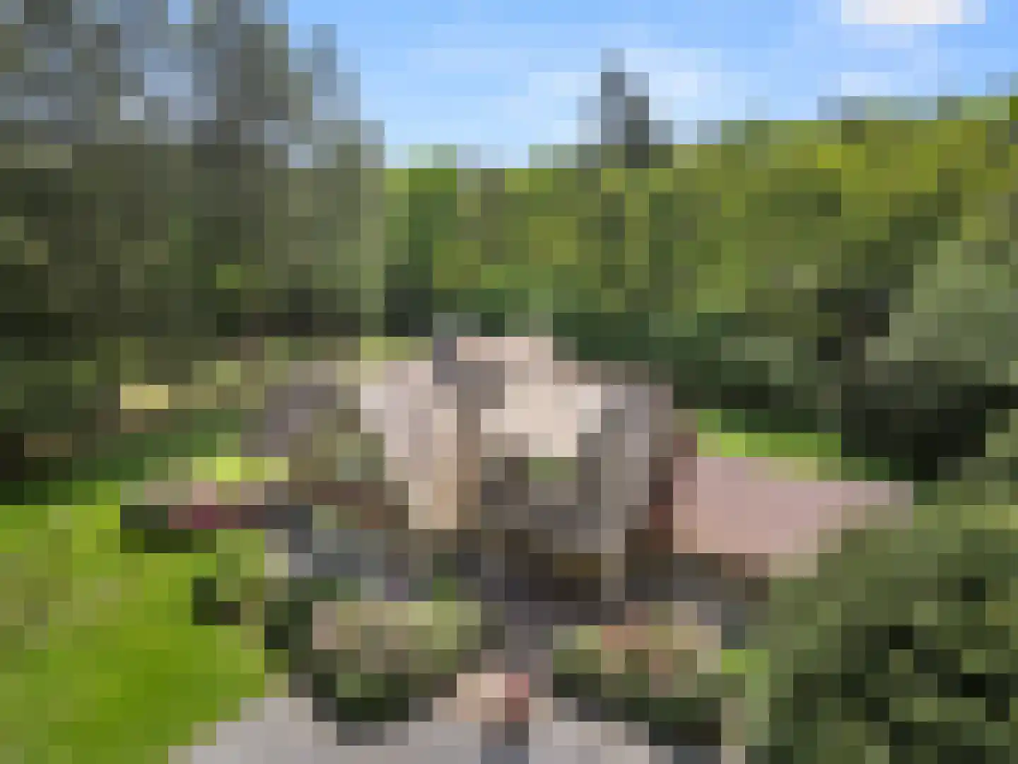 Mosweg 1 A Bennekom thumbnail 11