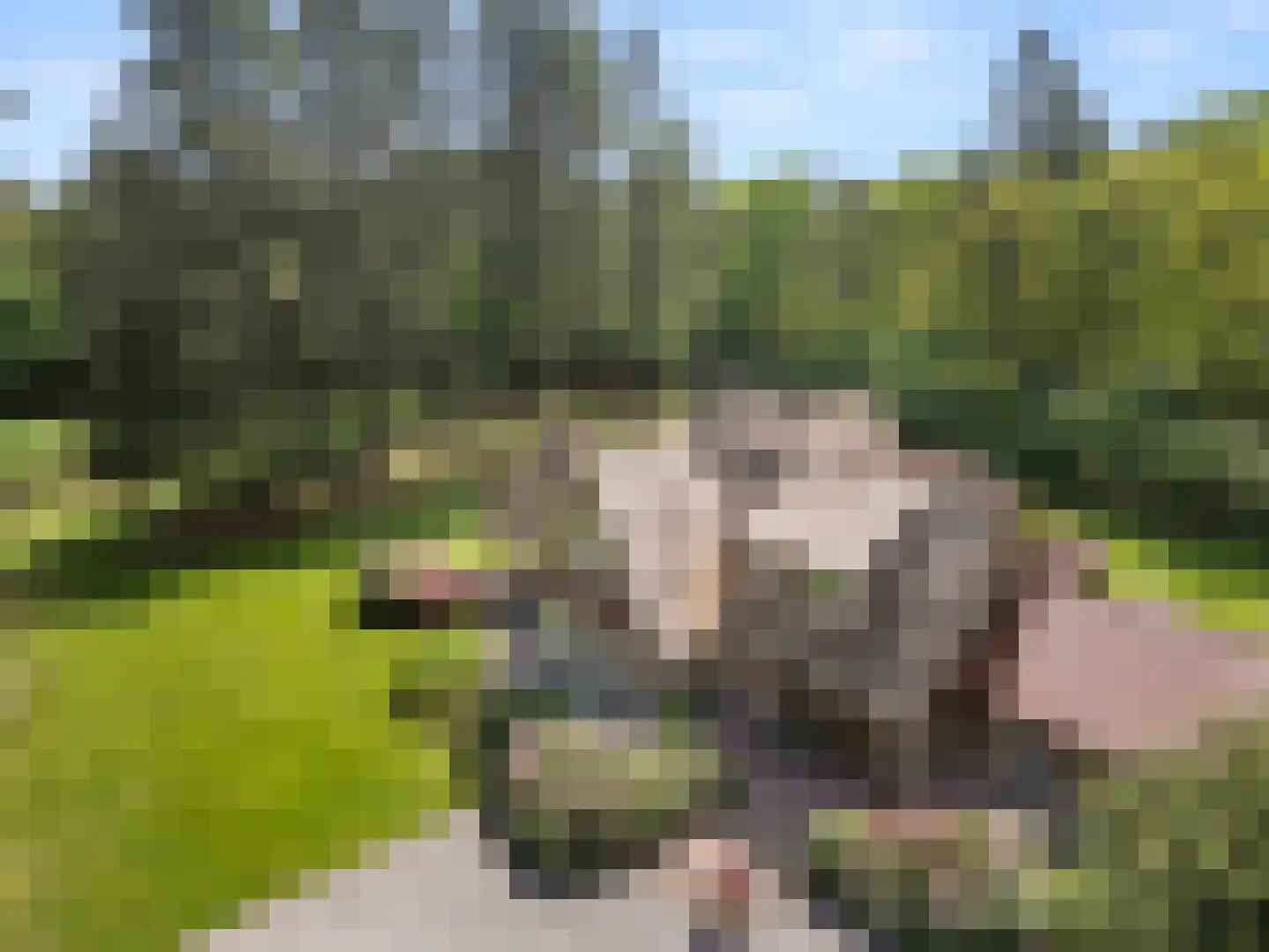 Mosweg 1 A Bennekom thumbnail 12