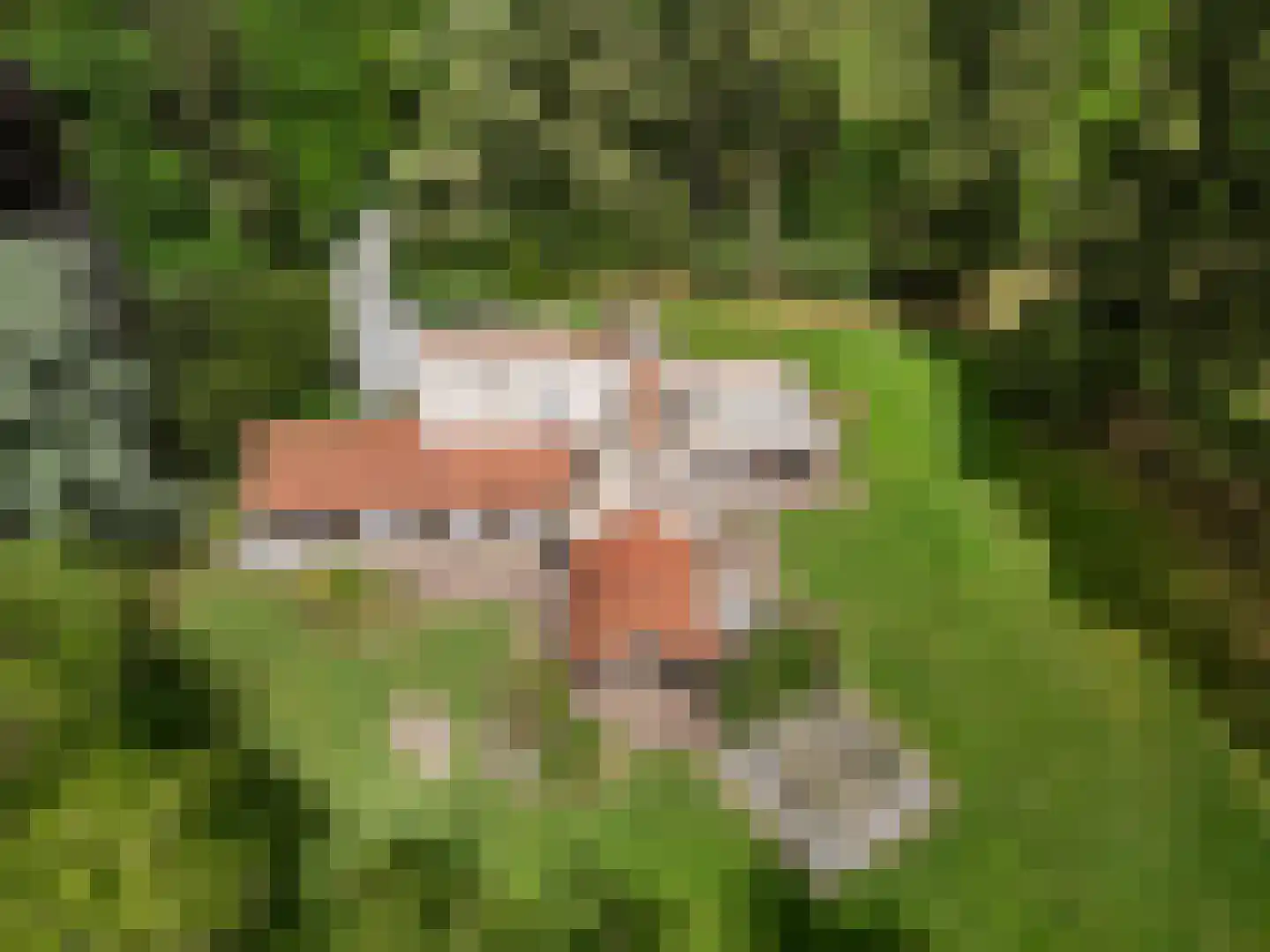 Mosweg 1 A Bennekom thumbnail 13