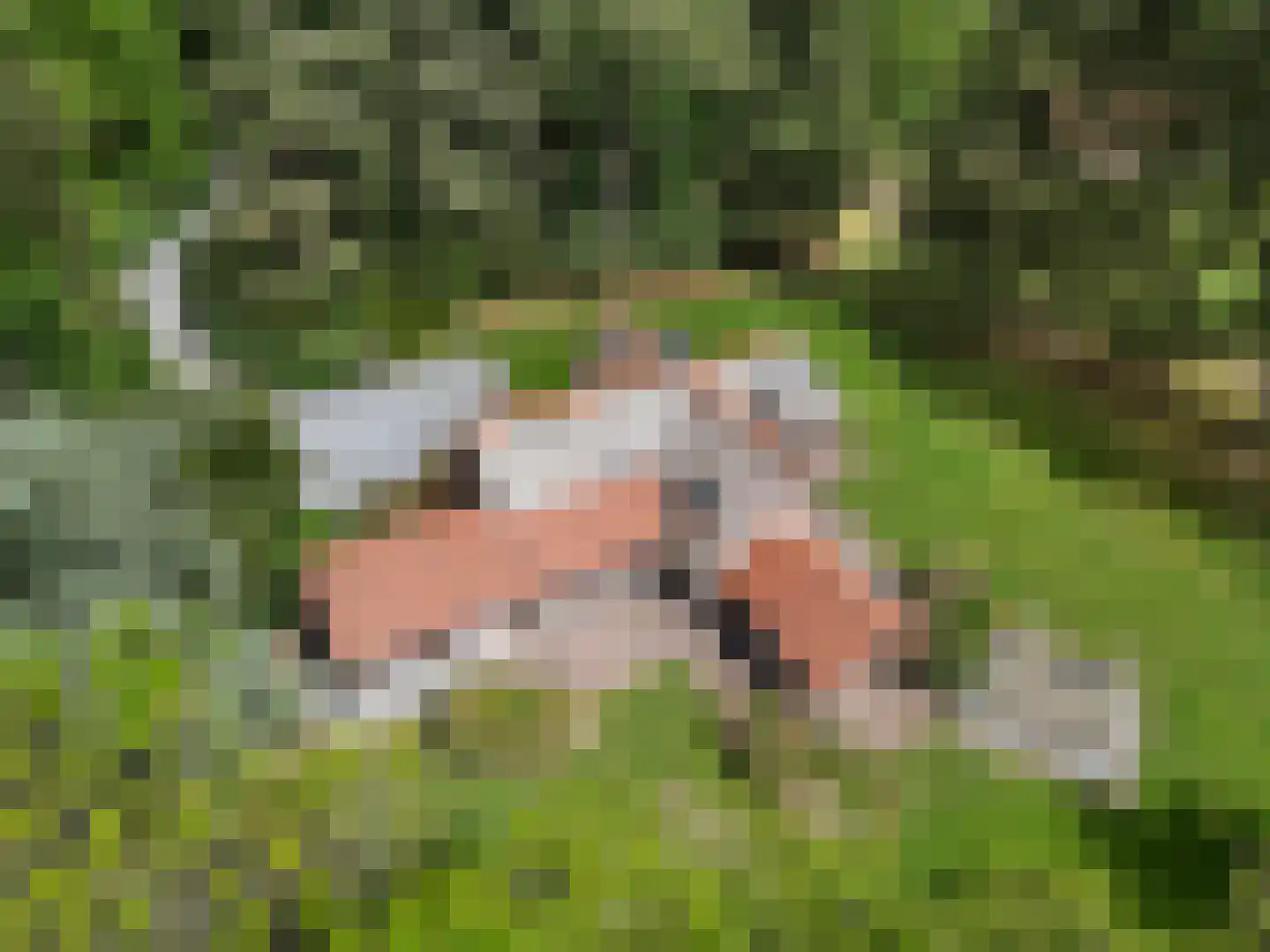 Mosweg 1 A Bennekom thumbnail 14