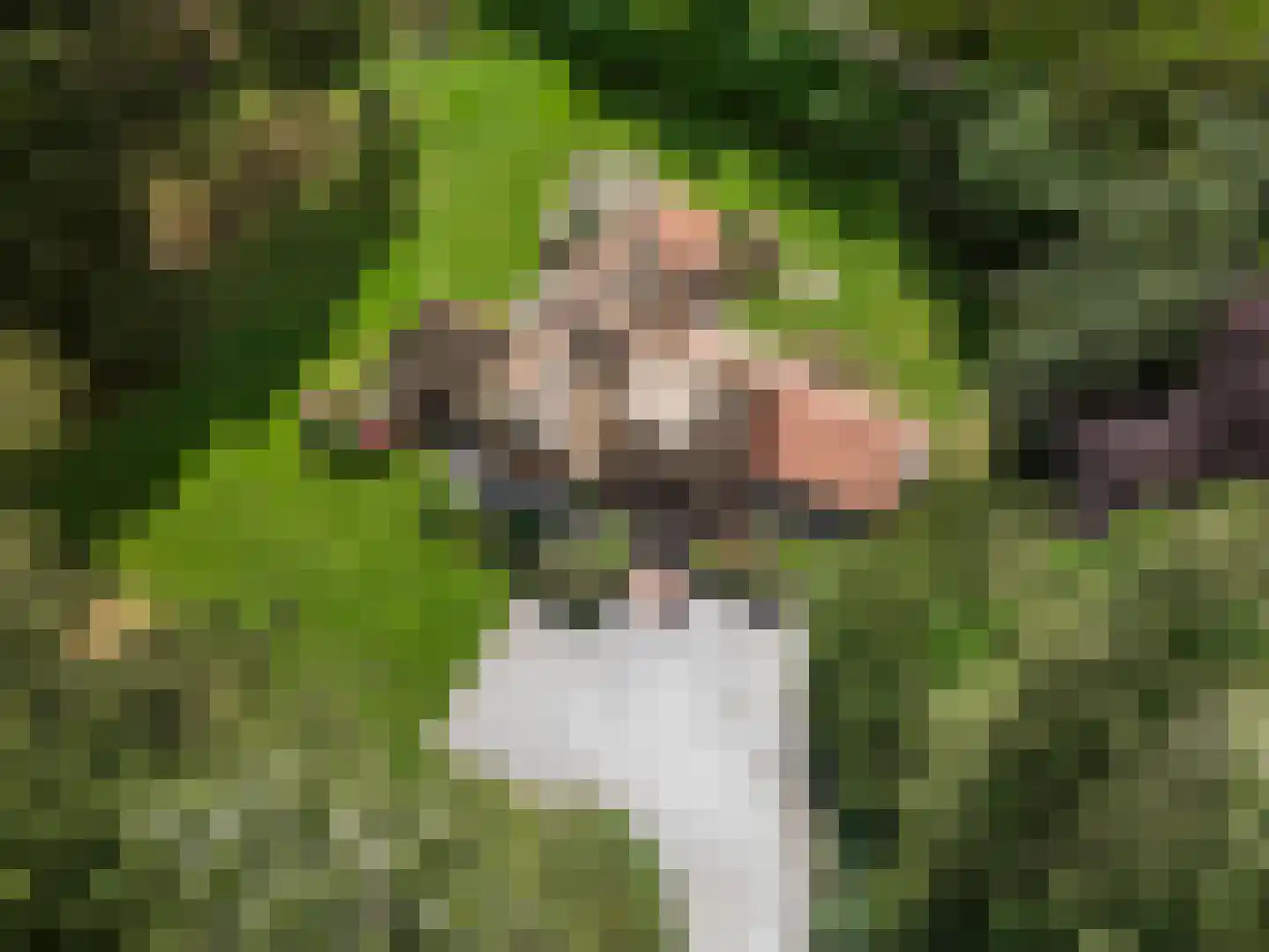 Mosweg 1 A Bennekom thumbnail 16