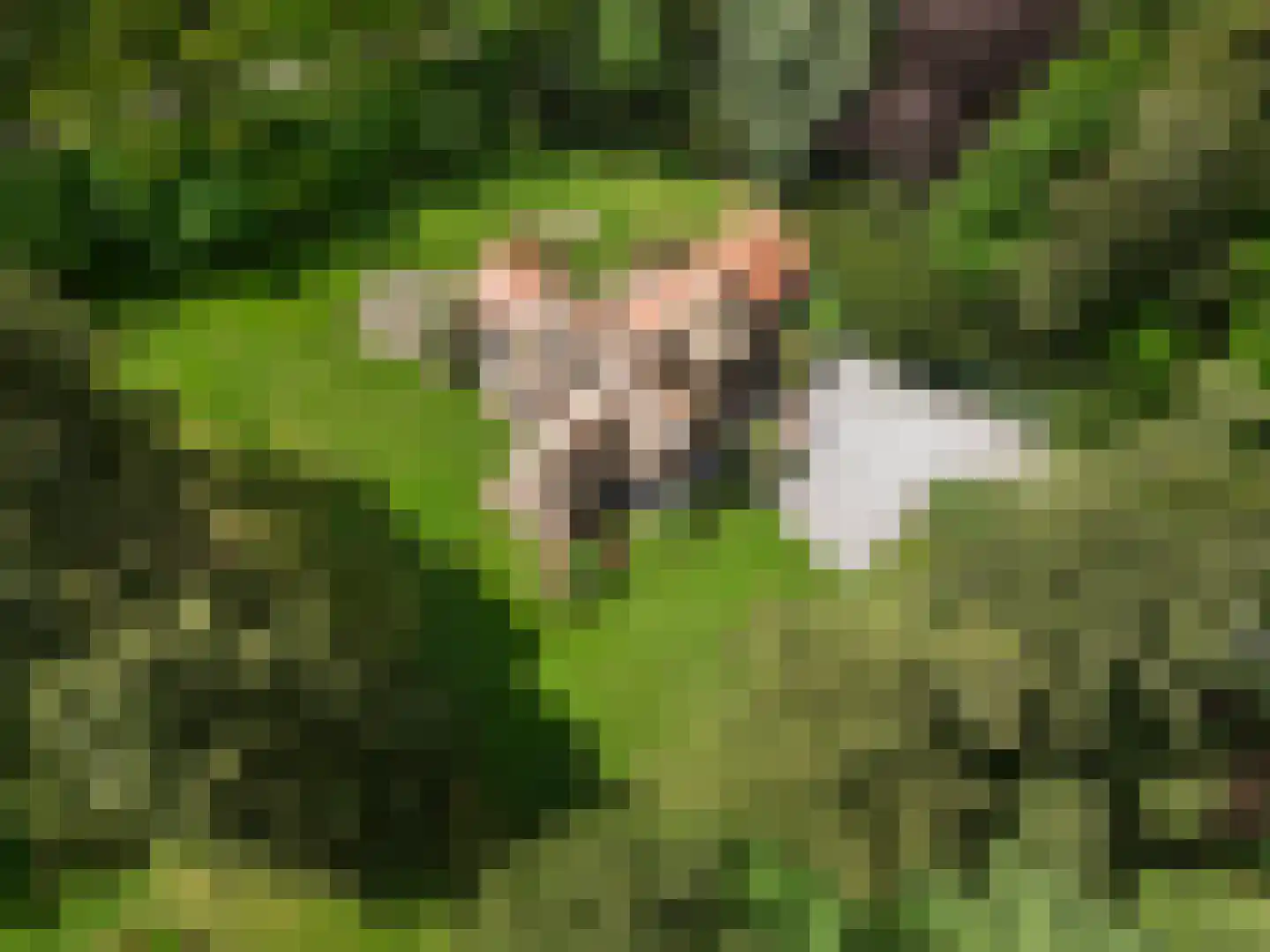 Mosweg 1 A Bennekom thumbnail 17