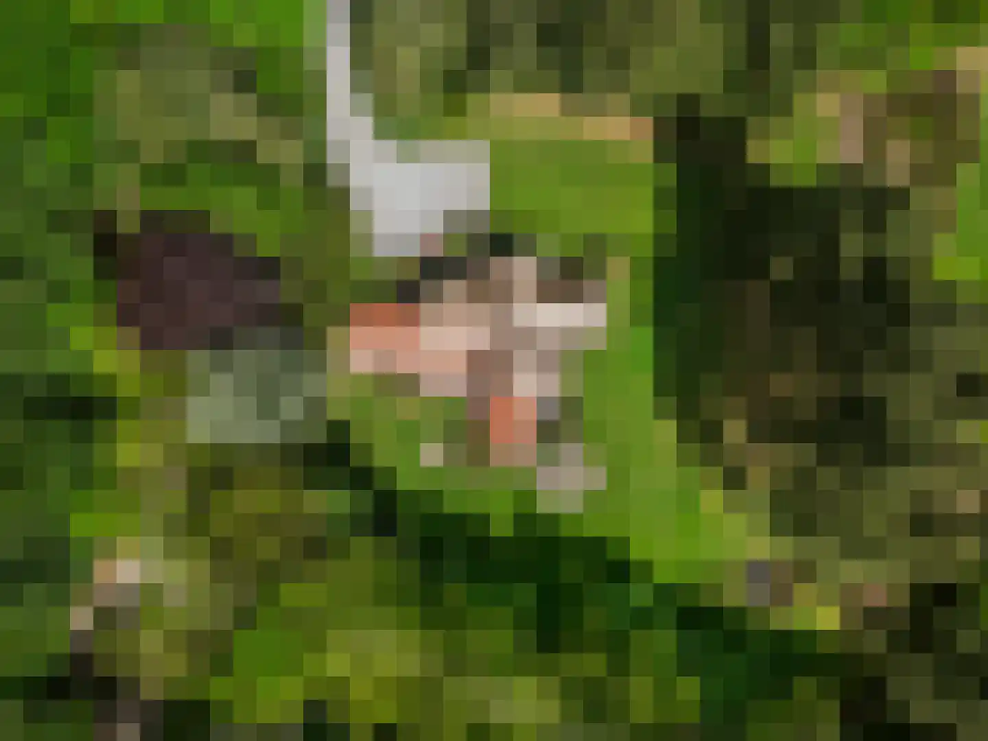 Mosweg 1 A Bennekom thumbnail 18