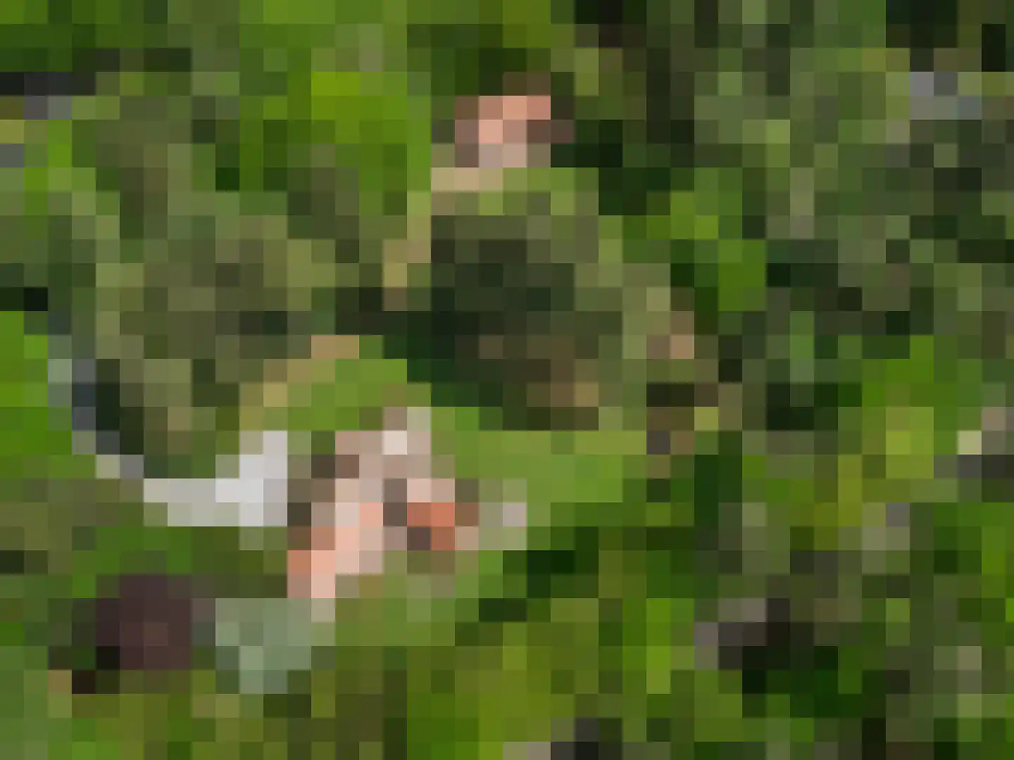 Mosweg 1 A Bennekom thumbnail 19