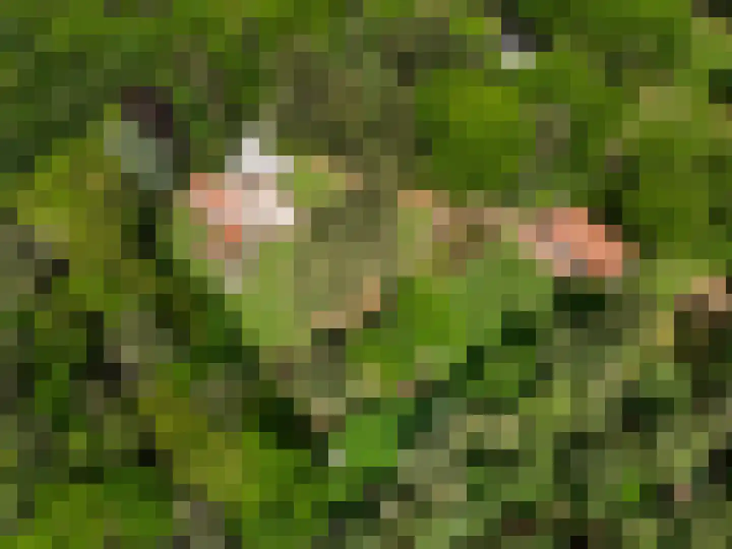 Mosweg 1 A Bennekom thumbnail 20