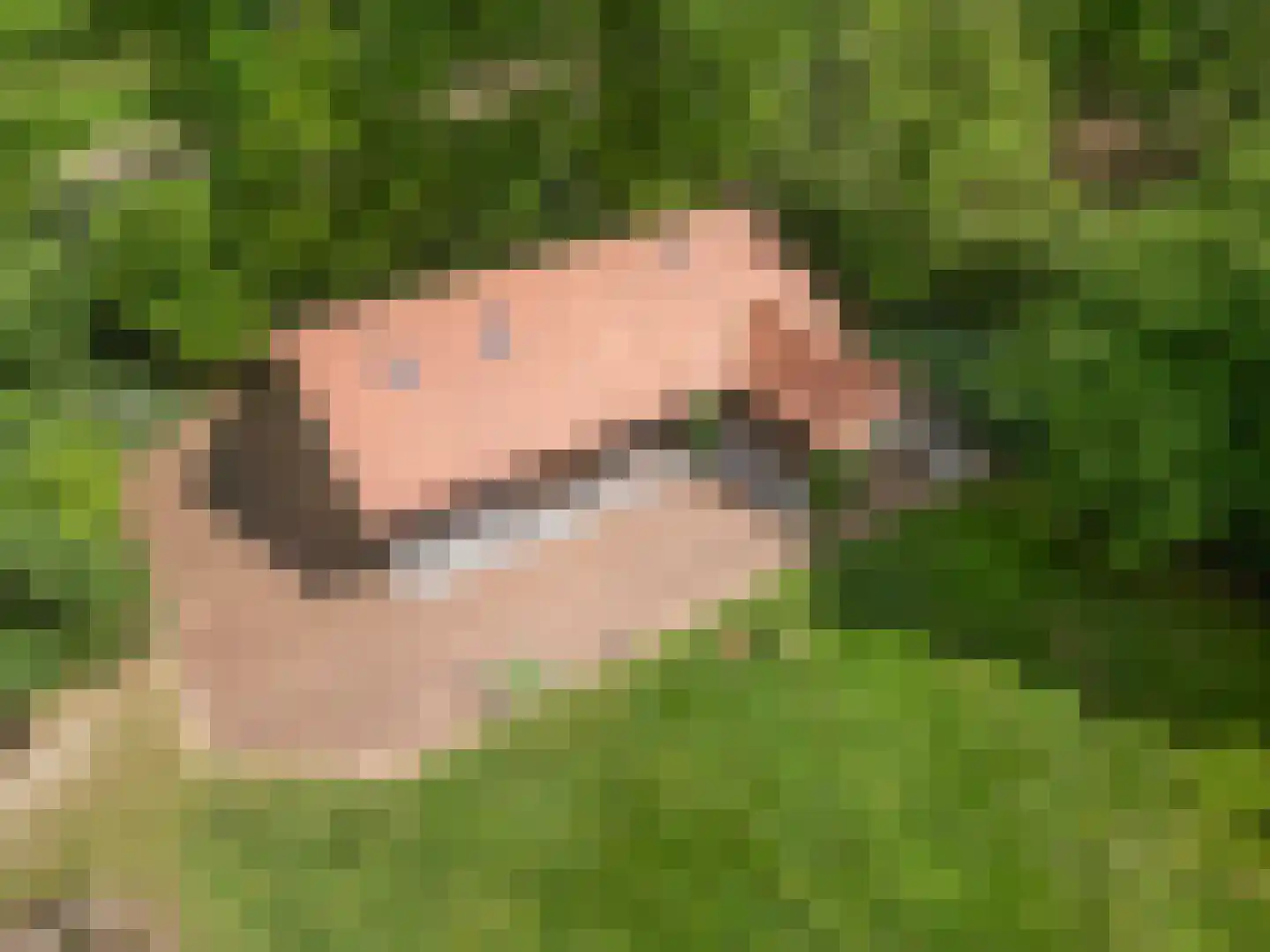 Mosweg 1 A Bennekom thumbnail 21