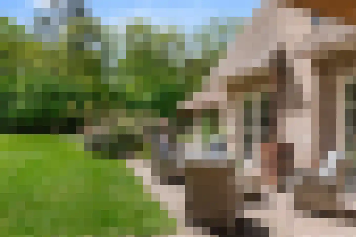Mosweg 1 A Bennekom thumbnail 28