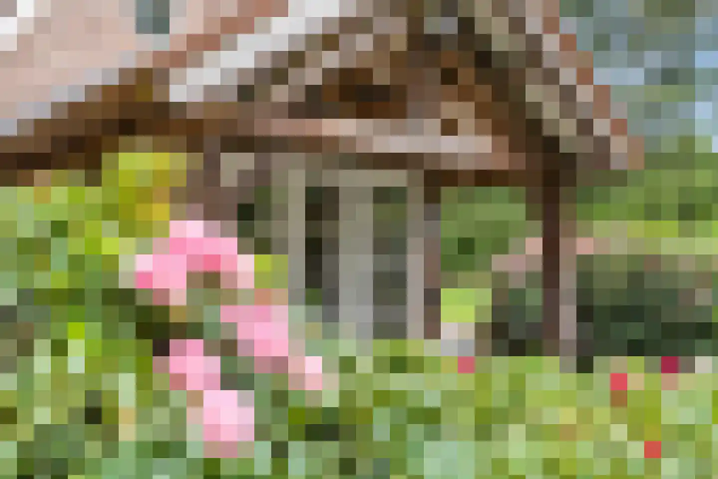 Mosweg 1 A Bennekom thumbnail 31