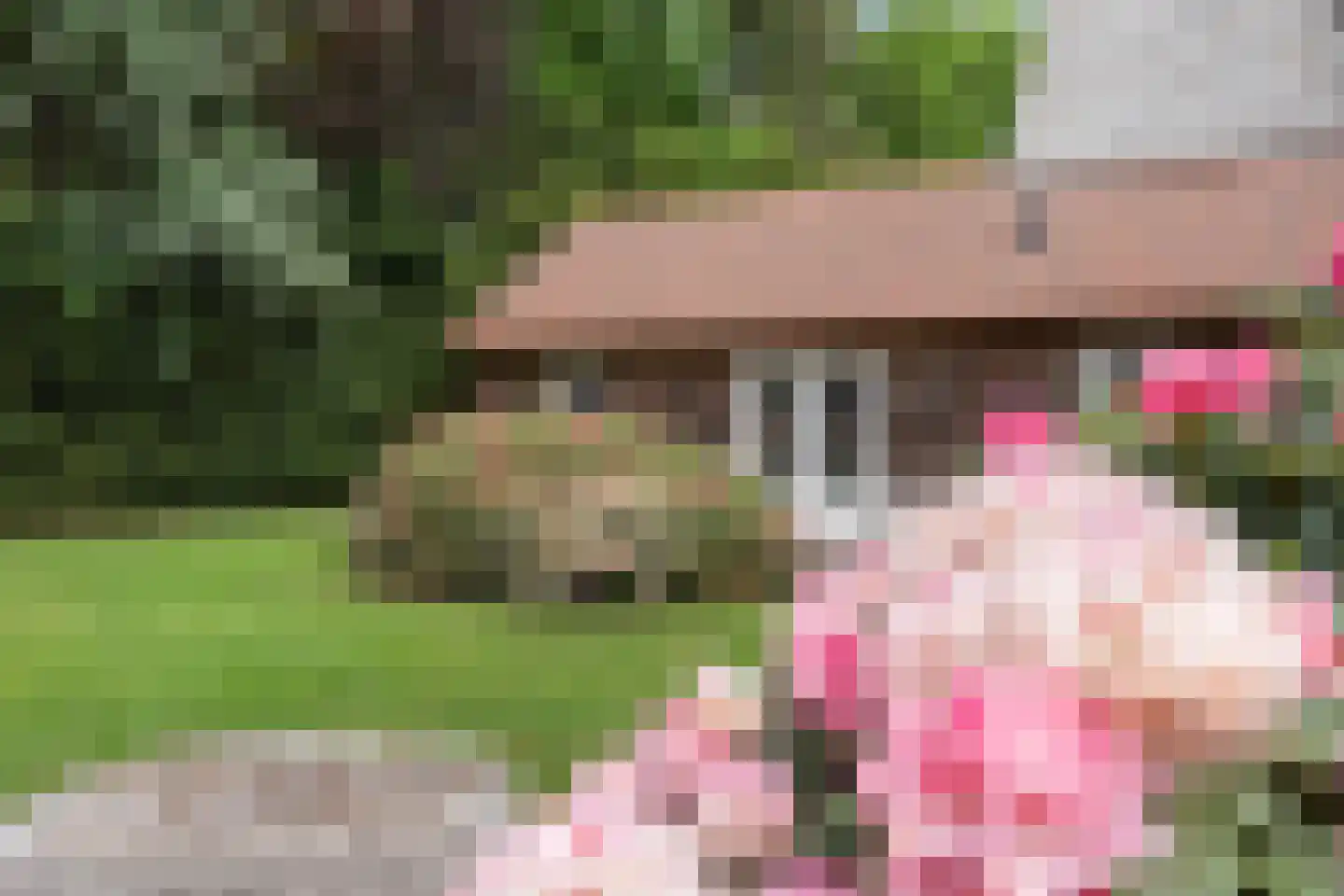 Mosweg 1 A Bennekom thumbnail 32